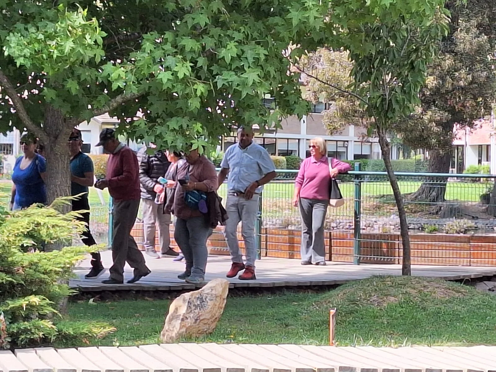 Galería Buses Castillo 11