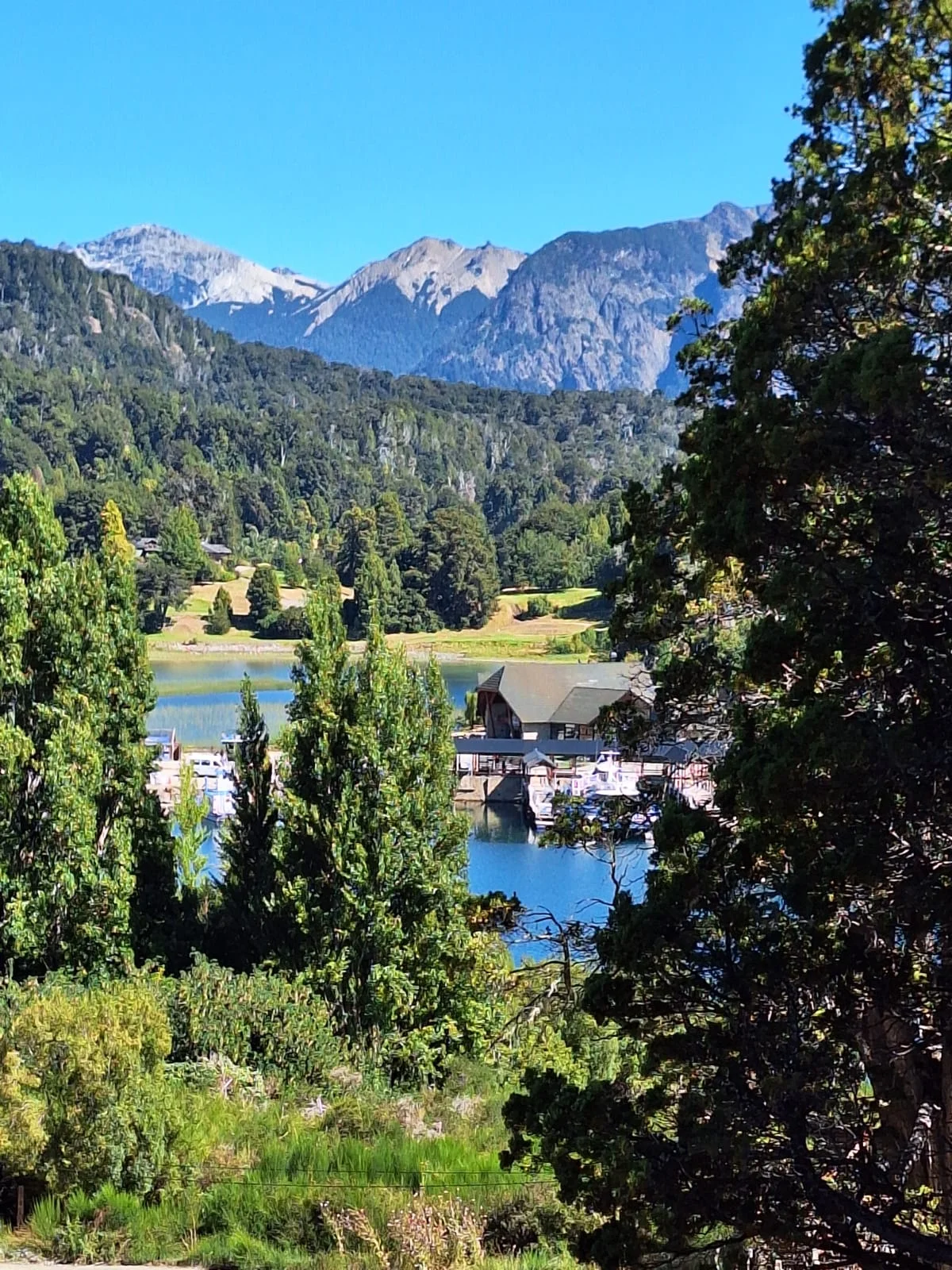 Galería Buses Castillo 16