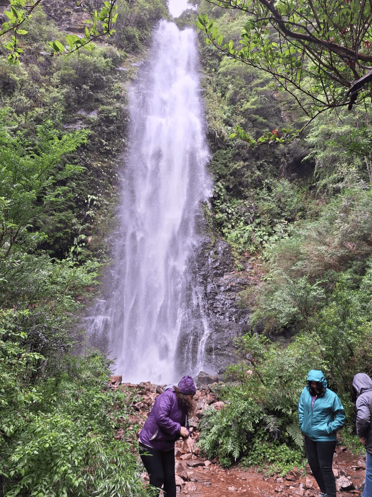 Galería Buses Castillo 5